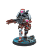 Infinity: Combined Army Stingers, Security Tactical Unit
