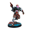 Infinity: Combined Army Stingers, Security Tactical Unit