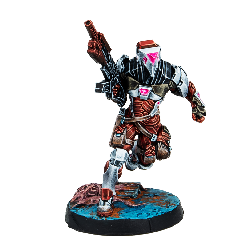 Infinity: Combined Army Stingers, Security Tactical Unit