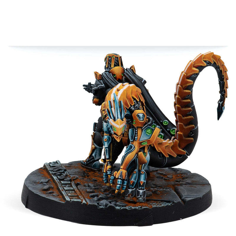 Infinity: Yu Jing Imperial Service Action Pack
