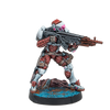 Infinity: Combined Army Stingers, Security Tactical Unit