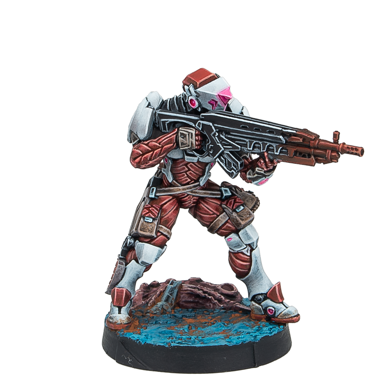 Infinity: Combined Army Stingers, Security Tactical Unit