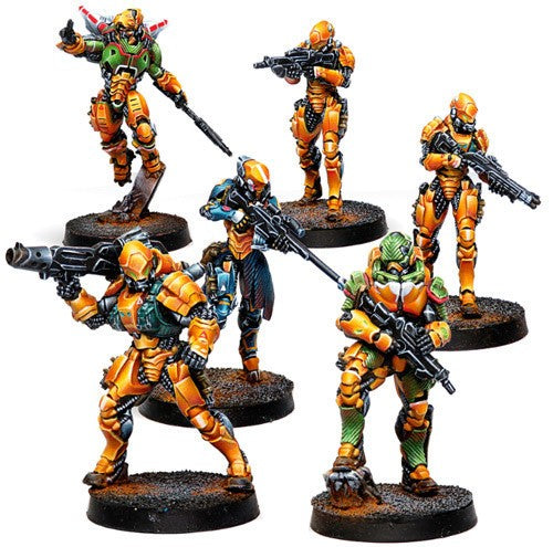 Infinity: Yu Jing Invincible Army (Yu Jing Sectorial Starter Pack)