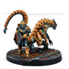 Infinity: Yu Jing Imperial Service Action Pack